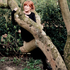 Harpiste Anne Vanschothorst